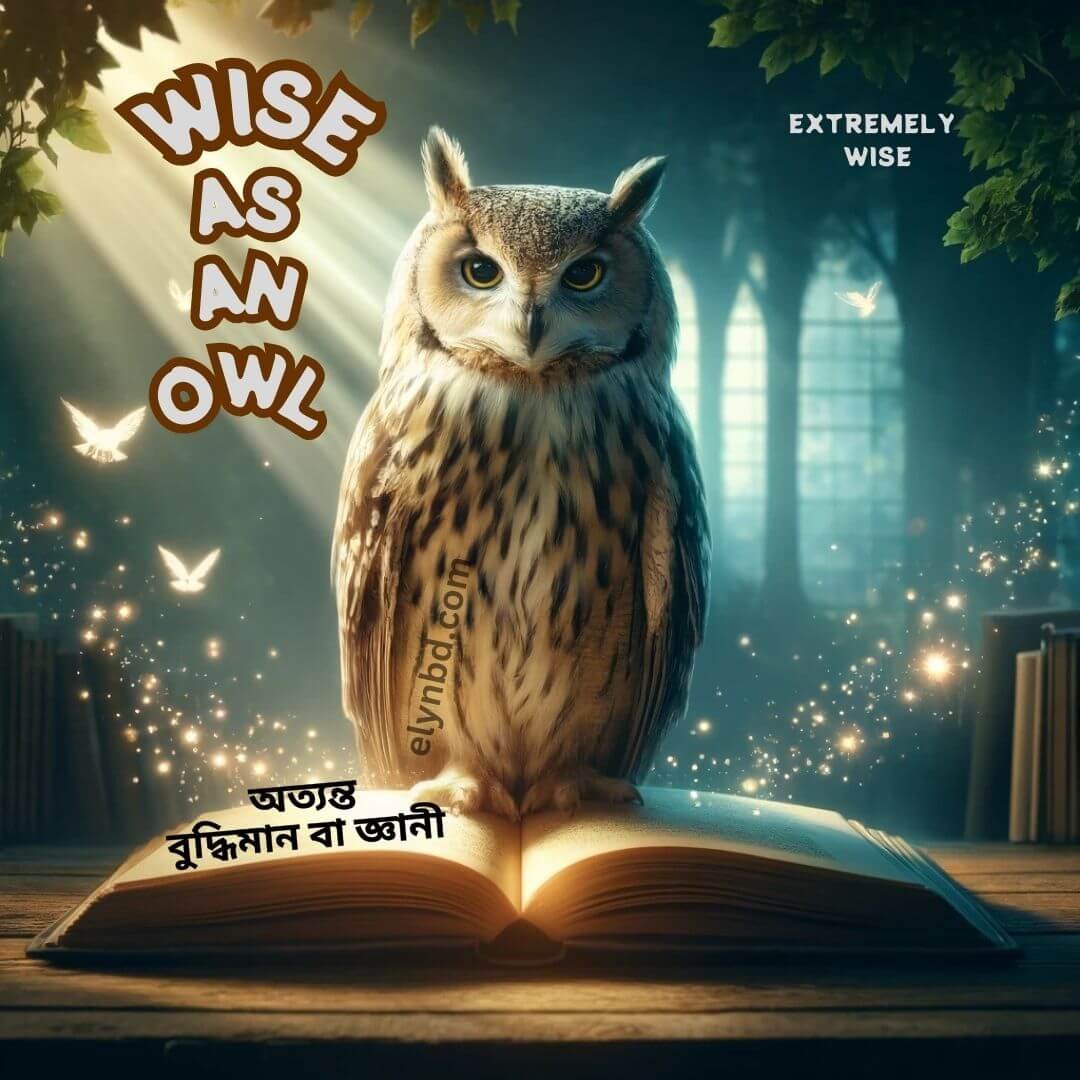 An owl sitting on an open book, surrounded by glowing lights and butterflies, symbolizing wisdom and knowledge for the idiom "Wise as an Owl" with Bangla text saying "অত্যন্ত বুদ্ধিমান বা জ্ঞানী."