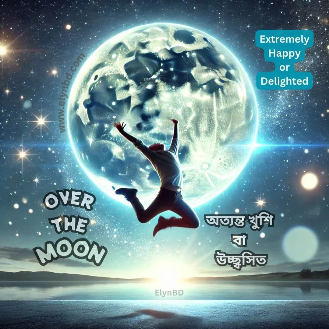 Over the Moon Idiom - Elynbd.com