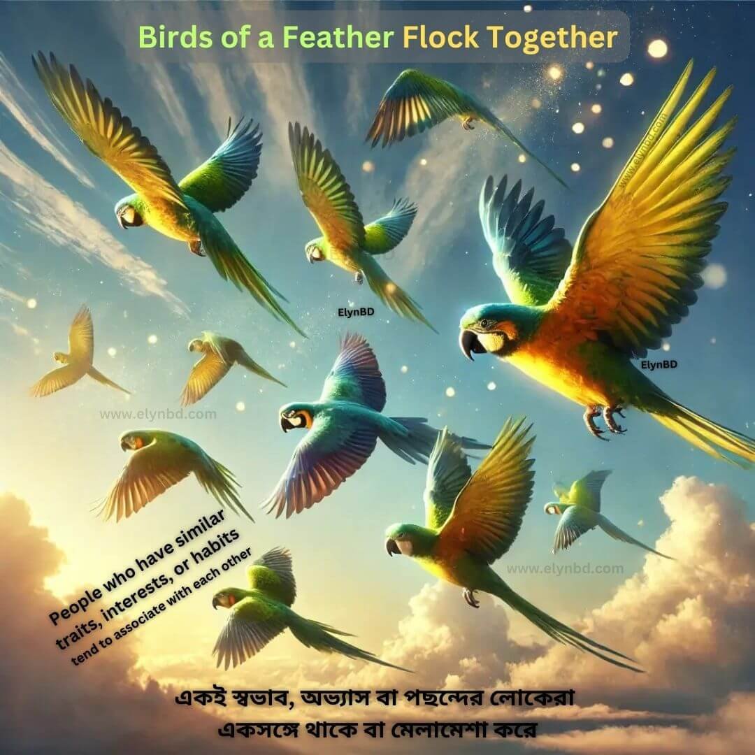 Birds of a Feather Flock Together idiom illustrated with colorful parrots flying together, symbolizing people with similar traits staying together. Elynbd.com