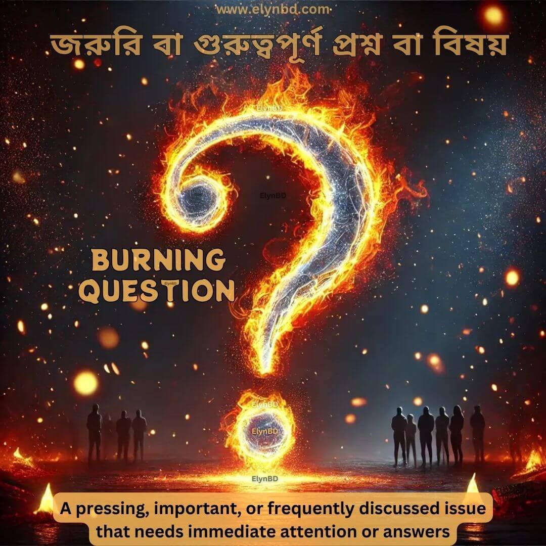 'Burning Question' idiom illustrated with a thought bubble and question mark on fire, symbolizing urgency. Elynbd.com
