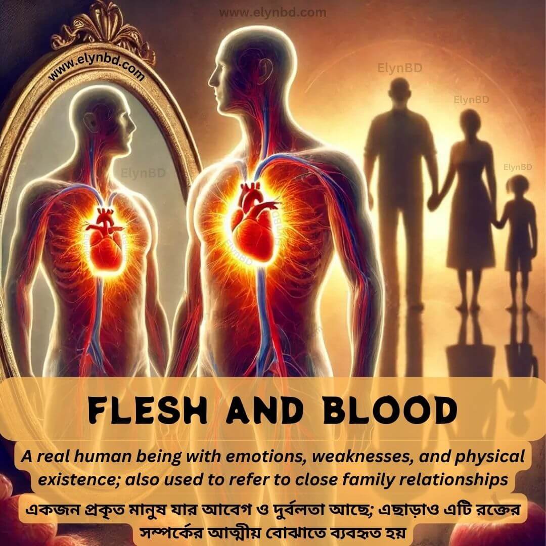 Flesh and Blood Idiom Meaning with English and Bangla Examples by Elynbd.com